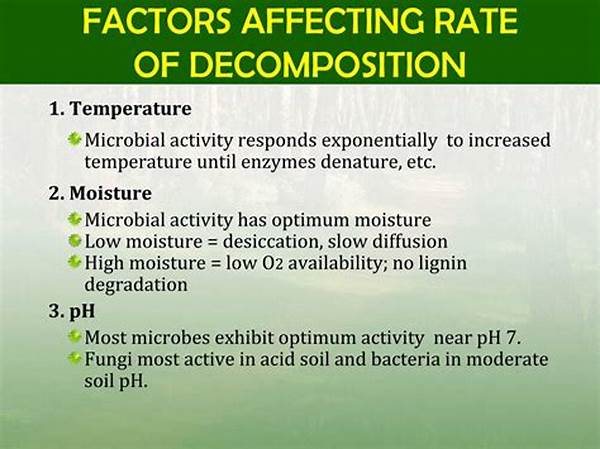 Factors Affecting Decomposition Rate