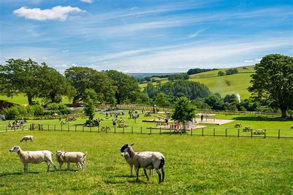 Family-friendly Farm Attractions