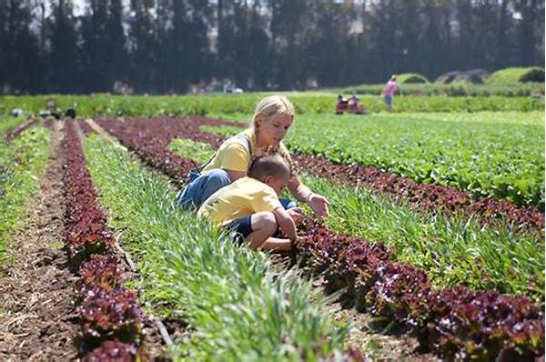 Family-friendly Organic Fruit Farms