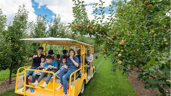 Guided Organic Orchard Excursions