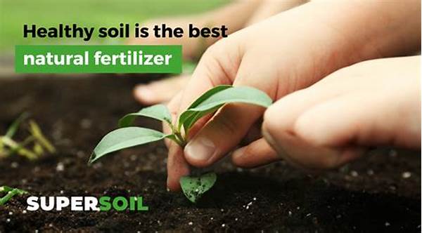 Natural Fertilizers For Healthy Soil