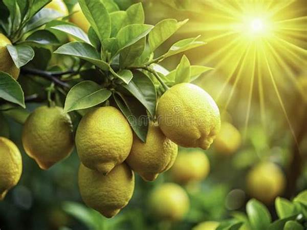 Natural Orchard Exploration Experiences