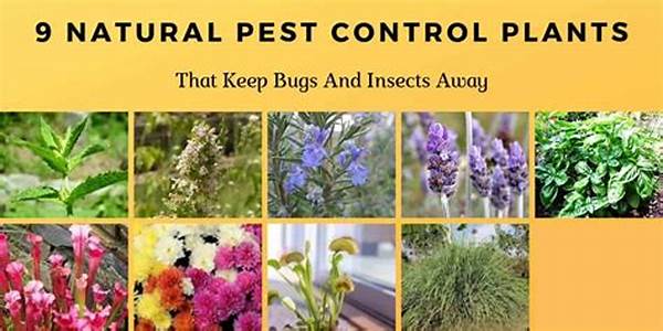 Natural Pest Deterrent Plants