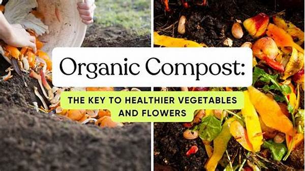 Organic Compost For Healthier Crops