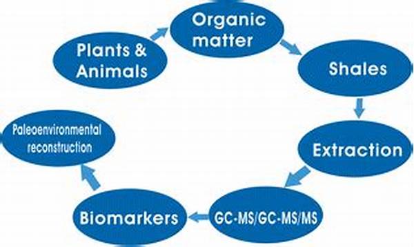 Organic Matter Enrichment Biodynamics