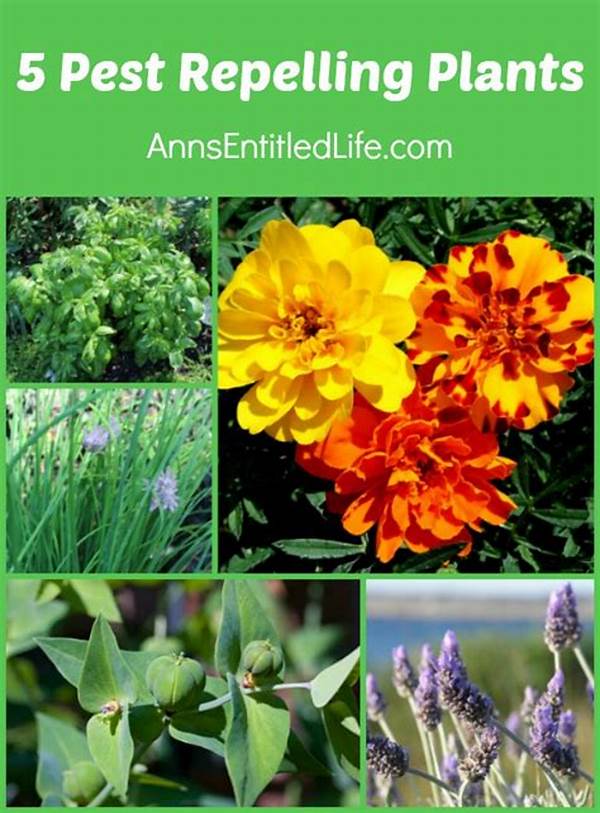 Organic Methods For Repelling Insects