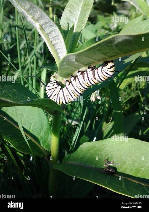 Preserving Natural Habitats For Pollinators