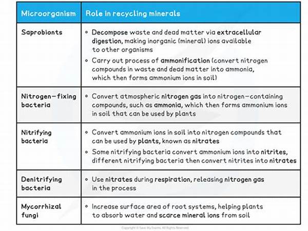 Role Of Microorganisms In Recycling