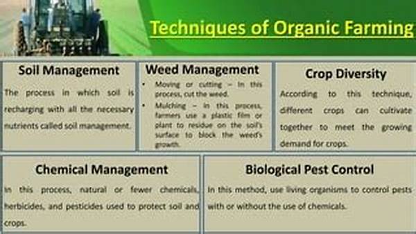 Soil Management In Organic And Natural Farming