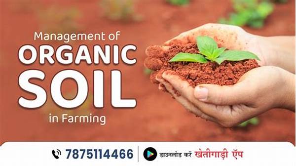 Soil Preservation In Organic Farming