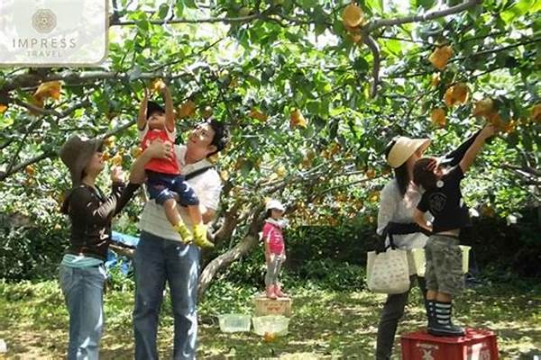 Sustainable Local Fruit Picking Experiences