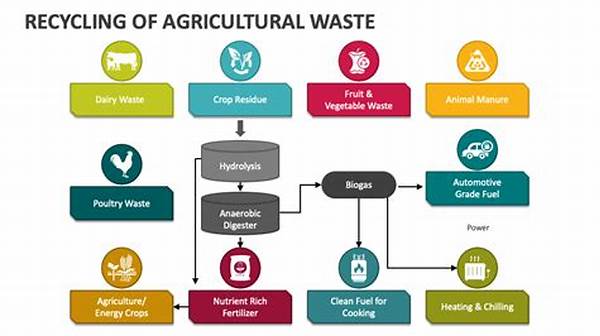 Agricultural Waste Recycling And Management