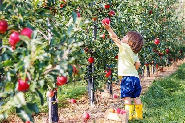 “authentic Fruit Picking Experiences”