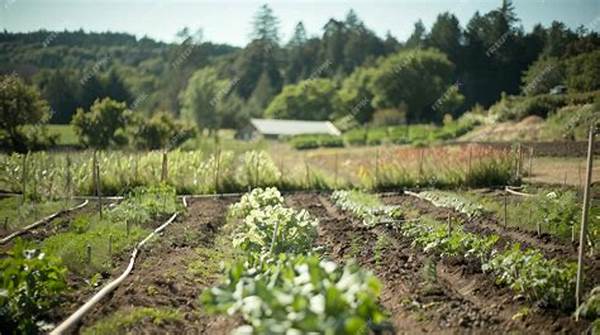 Biodynamic Farming With Herbal Repellents