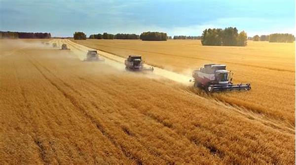 Global Sustainable Crop Production