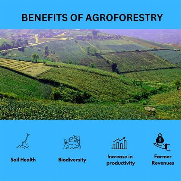 Income Diversification With Agroforestry Adoption