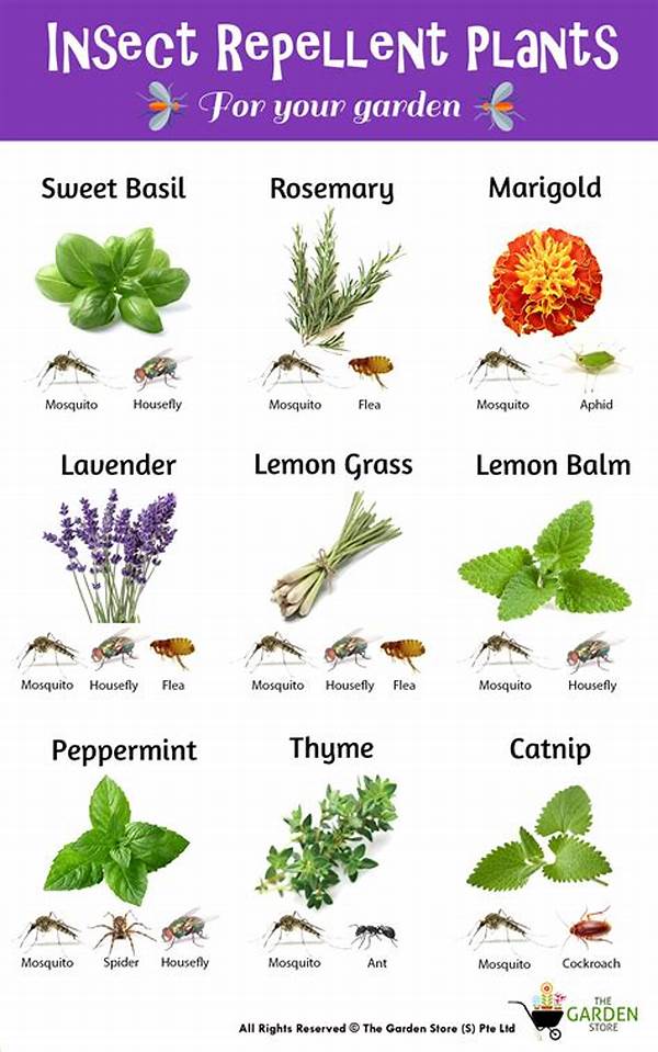 Natural Insect Deterrents For Gardens