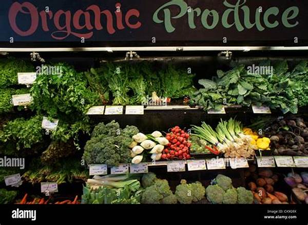 Organic And Natural Food Stores