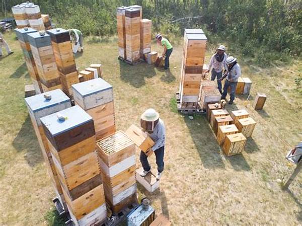Organic Beekeeping Practices For Sustainable Farms