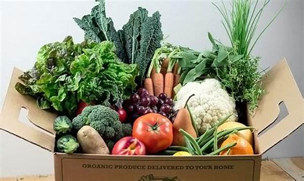 Organic Produce Delivery With Top Value