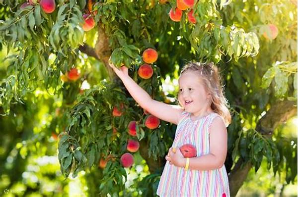 Seasonal Fruit Picking Vacations