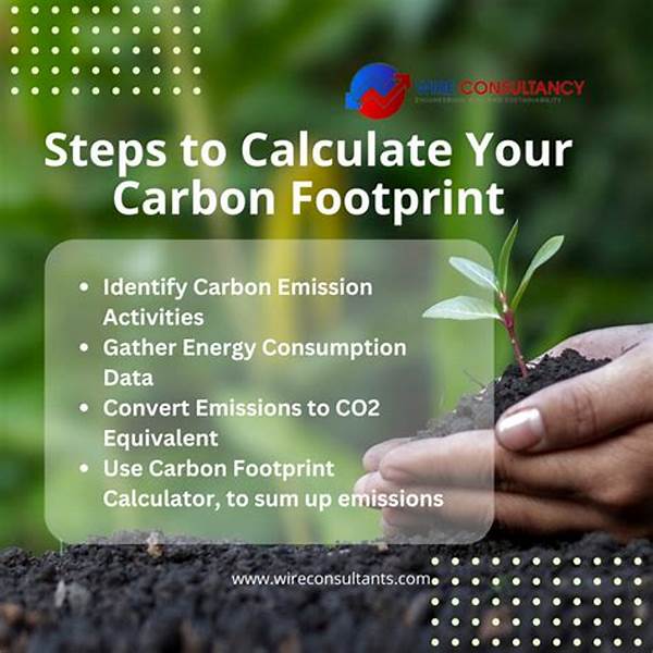 Strategies To Calculate Carbon Footprint