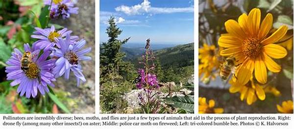 Supporting Pollinator Diversity Organically