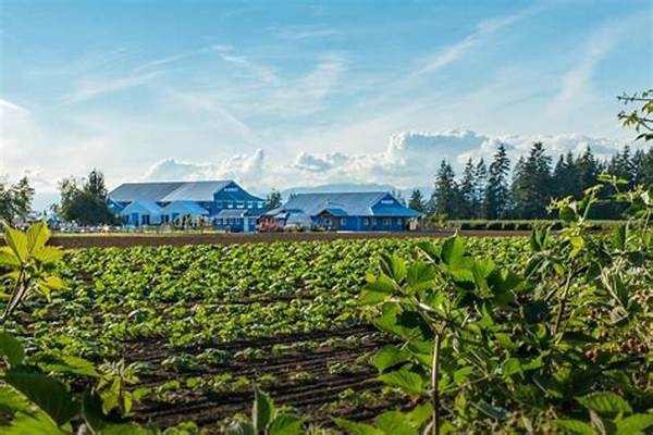 Top Family-friendly Berry Farms