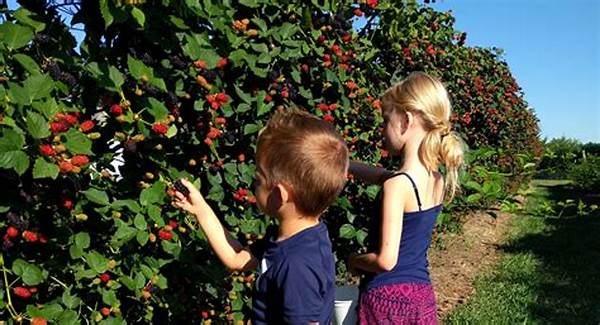 Berry Picking Season Guide