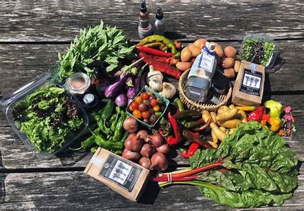 Best Monthly Organic Produce Subscriptions