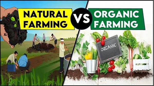 Comparing Organic Farming And Natural Farming