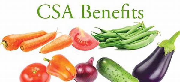 Csa Farm Share Membership Benefits