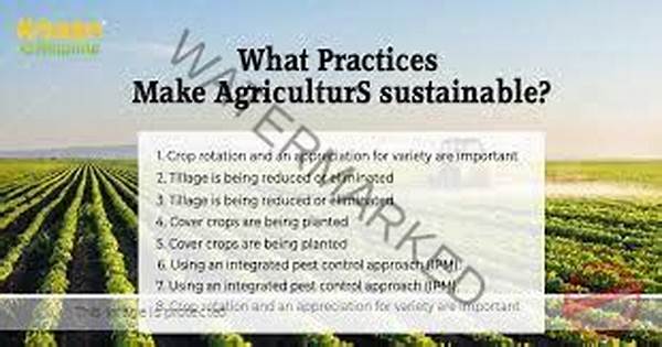 Environmentally-conscious Agricultural Joint Approaches