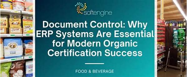 Essential Guides To Organic Certification Procedures