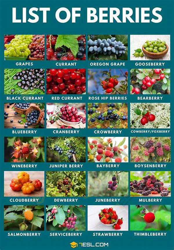 “guide To Berries In Each Season”