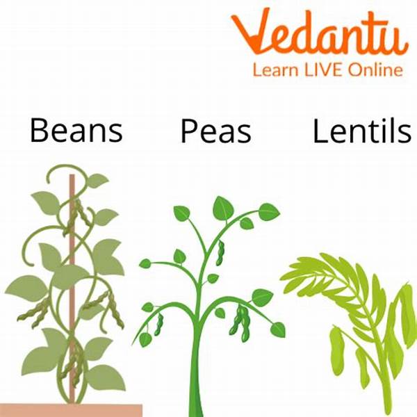 Leguminous Plants For Soil Enrichment