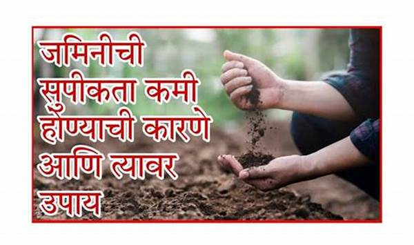 Natural Soil Enrichment Techniques