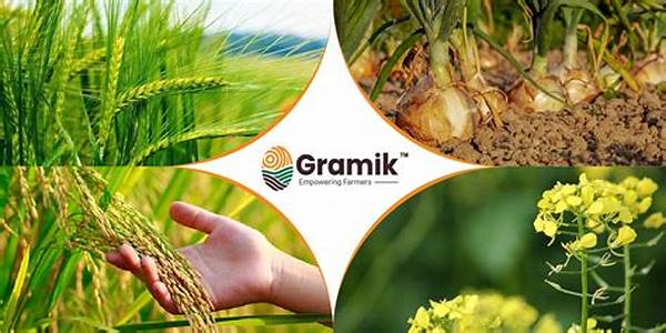 Online Platforms For Organic Seed Buying