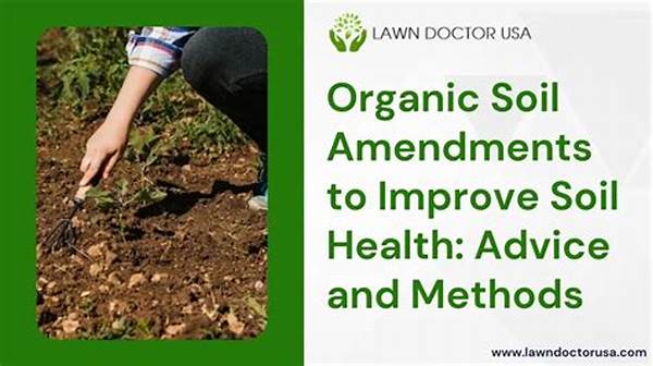 Organic Amendments For Soil Health