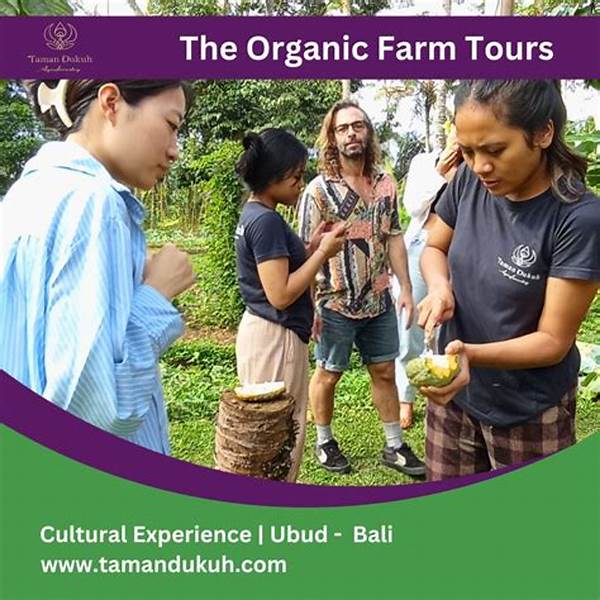 Organic Farm Tours For School Groups And Education