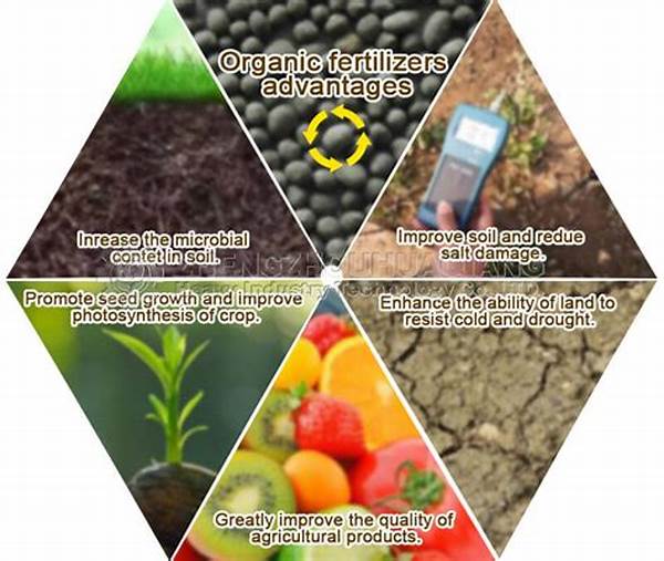 Organic Fertilizer Sustainability Benefits
