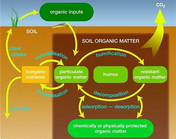 Organic Matter For Increased Productivity