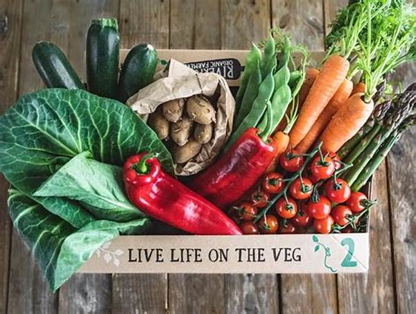 “organic Vegetable Box Delivery Programs”