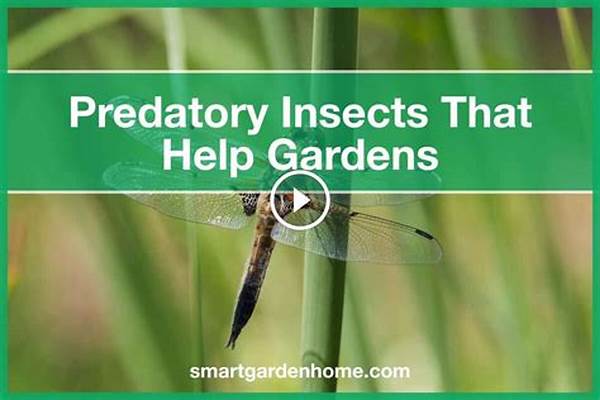Predatory Insects In Farming.