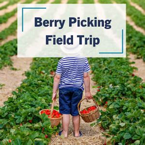 Preparing For A Berry Picking Trip