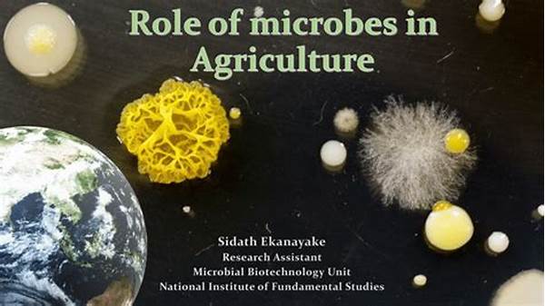 Role Of Microbes In Sustainable Agriculture