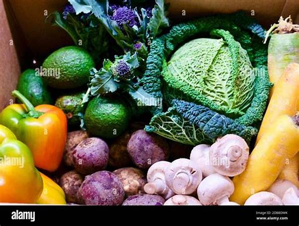 Seasonal Harvested Vegetable Delivery Choices