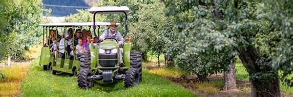 Sustainable Orchard Exploration Excursion