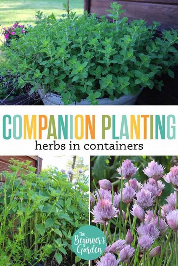 Companion Planting With Aromatic Herbs