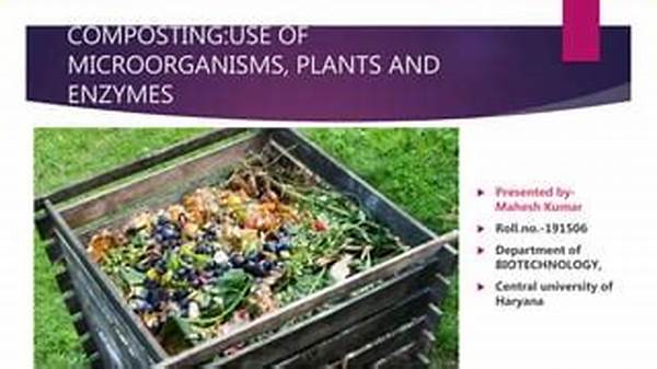 Enhancing Composting With Enzymes